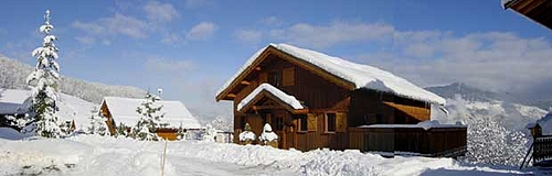 Chalet Tarine and idealic setting, Meribel Valley